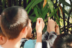 【班级定制竹艺野玩营】探寻非遗竹艺密码，感受传统匠心魅力