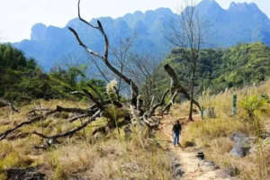 【莫六公+秦汉古道】周六、日 | 特价89，赏清远最美山脊线，徒步探寻秦汉古道沧桑历史