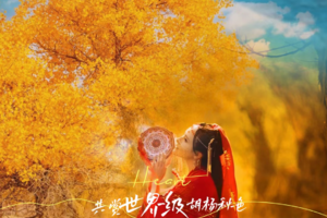 【绝色新疆-金秋南疆9天】喀什 莎车老城 芦苇荡 盘龙古道 塔里木胡杨林 温宿大峡谷 塔哈漫湿地 穿越塔克拉玛干沙漠