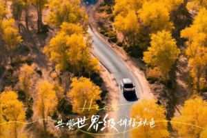 【绝色新疆-越野南疆赏秋9日】葫芦岛 塔塔秘境 塔莎古道穿越 139沙雅胡杨秘境 烈焰泉 盘龙古道 塔里木胡杨林 穿越塔