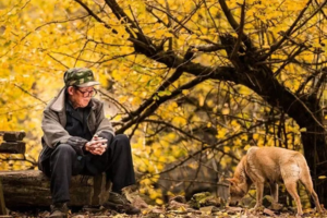 【恭城+海洋乡】12.12晚-14｜大小桐木湾赏银杏，红岩村探秘万亩柿林，行摄黄姚古镇，2天2夜
