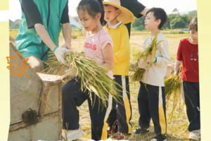 秋假增城3天 | 走进田野，挥镰割稻、脱粒扬谷、制作农家美食，田园探趣，秋假乐不停