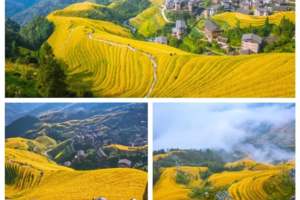 【龙脊摄影高铁3天】10.31-11.02｜龙脊梯田+桂林山水 高铁3天