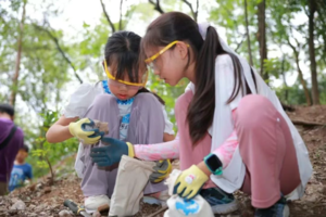 【11月1/2日】徒步天然森林课堂，水晶猎人森林探秘之旅，敲开地球的月光宝盒！
