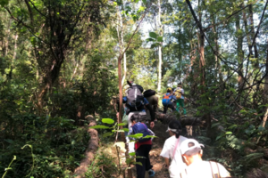 【11月8日】荒野探险计划|大夫山探险—徒步、野外求生技能、净水装置制作、搭建森林庇护所......