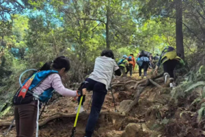 2026年寒假户外徒步越野跑主题连训班招募2026年2月3-6/10-12/17-29日共三期