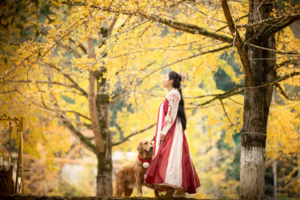 【武当山+南雄银杏2天】周六出发｜特价298，赏广东醉美银杏-帽子峰，攀龙南小武当山，采摘赣南脐橙-