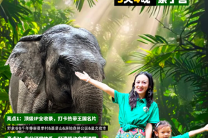 【2026寒假】西双版纳5日亲子营|专属PBL项目式学习&原始森林公园研学通道+野象谷 vip 体验&5钻酒店4晚连住