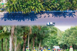 【海南东线5天4晚或者6天5晚】4+2轻骑行，每天最多20-30公里，精华骑行路段，小众美食体验