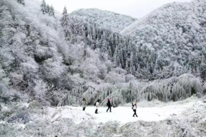 【云冰山+瑶族博物馆+爱情小镇】周六、元旦 | 一次打卡三个宝藏地，邂逅广东“雪乡”雾凇冰挂、探访瑶族博物馆