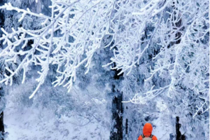【冰雪衡山3天】1.01-1.03、春节 | 赏南岳衡山雾淞冰雪奇观，行摄高椅岭，登祝融峰顶祈福！