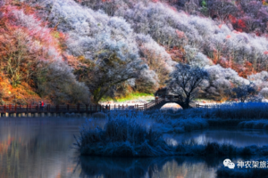 【湖北过大年】2.15-21｜含高铁，湖北过大年7天|湖北7日新春游，赴一场山水与团圆的浪漫旅程