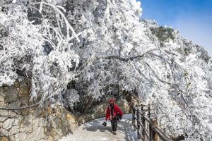 每周六出发【云冰山+莽山赏冰雪2天】一次打卡两大冰雪圣地，岭南雪乡赏雾淞、观冰挂、云海秘境！