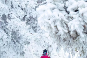 每周六出发/春节天天出发【徒步衡山2天】南岳衡山赏雾淞冰雪奇观，登祝融峰顶祈福许愿2天活动