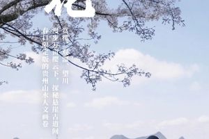 【又见樱花】3.12，3.19，3.21，3.26出发 | 贵州花季秘境徒步4天3晚