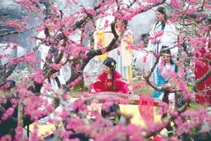 成团【连平桃花】周三、四、六、日 | 奔赴连平万亩粉色海洋，定格你的春日专属大片！