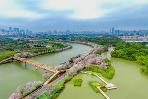 【一日独立营】海珠湿地赏花定向越野！