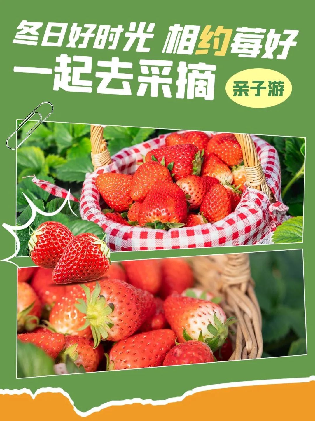 图怪兽_简约创意初夏草莓采摘水果采摘小红书封面.jpg