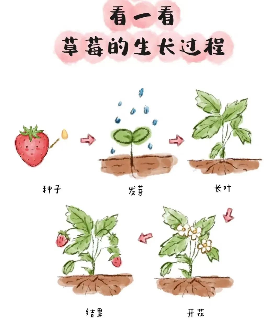 微信图片_20241230201232.jpg
