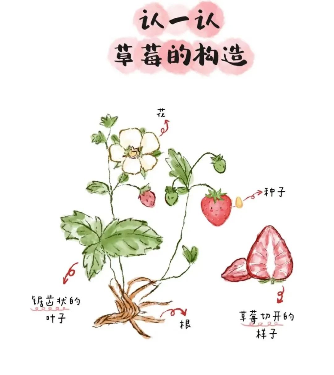 微信图片_20241230201236.jpg