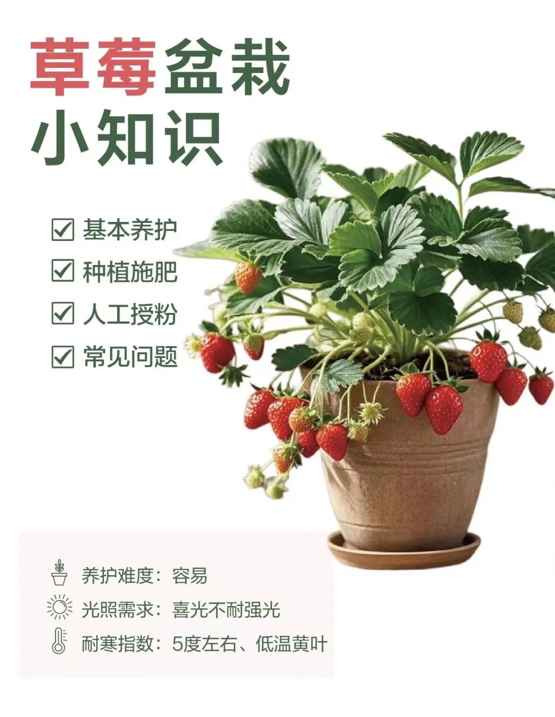 微信图片_20241230204608.jpg