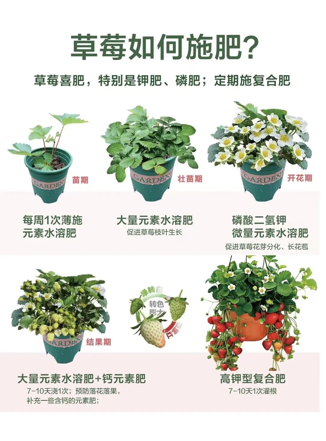 微信图片_20241230204612.jpg