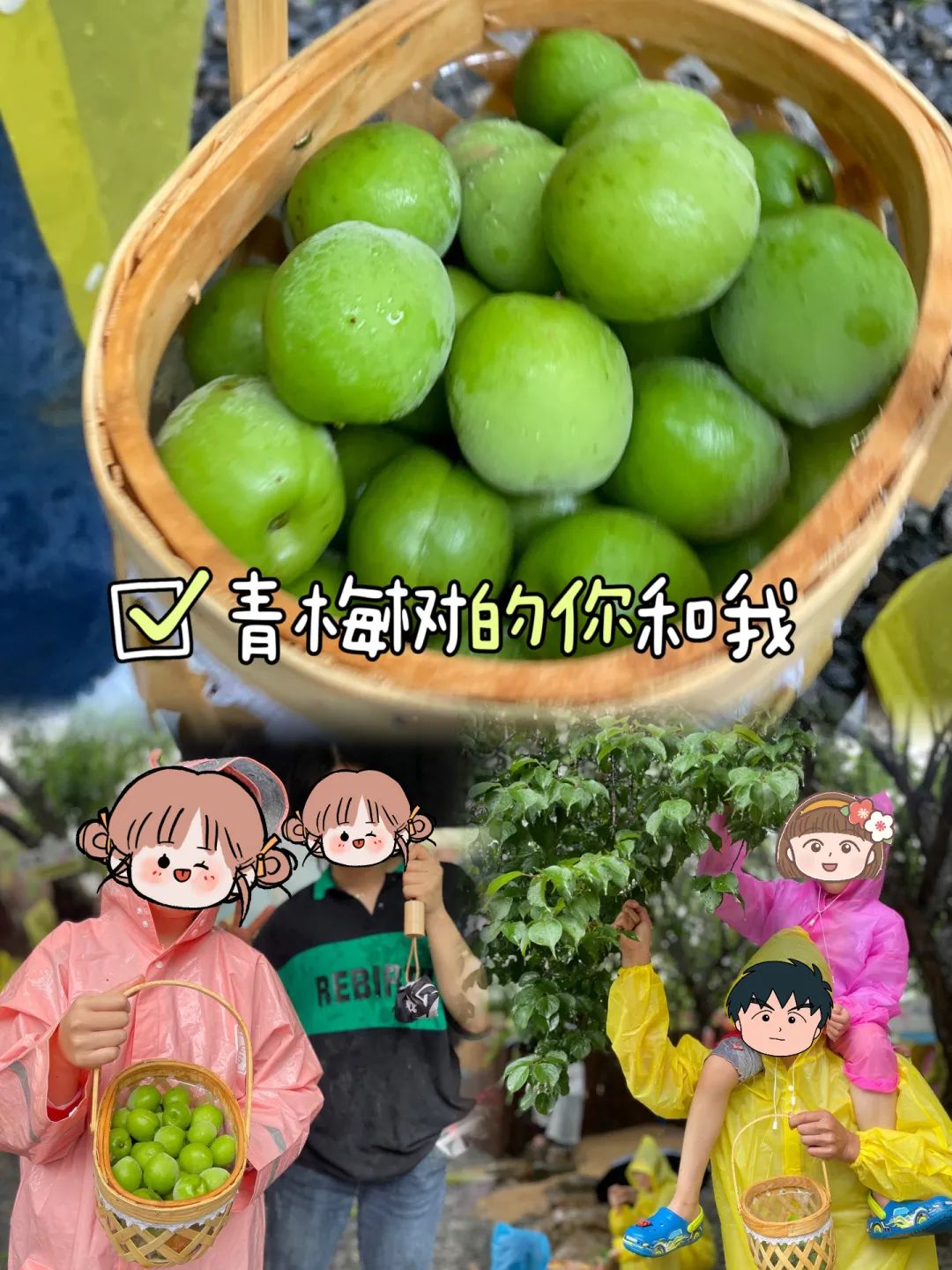 微信图片_20250218202342.jpg