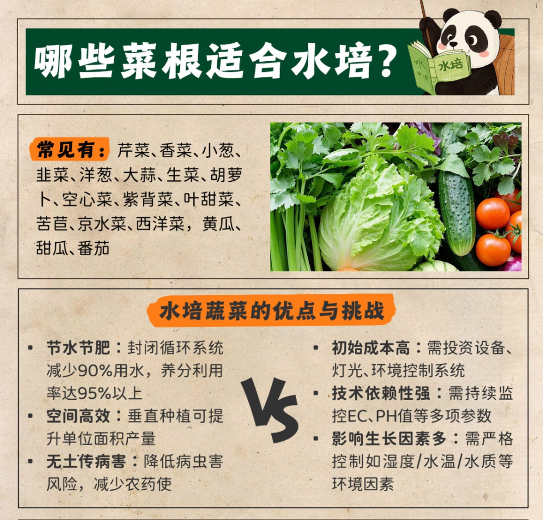 微信图片_20250508121628.png