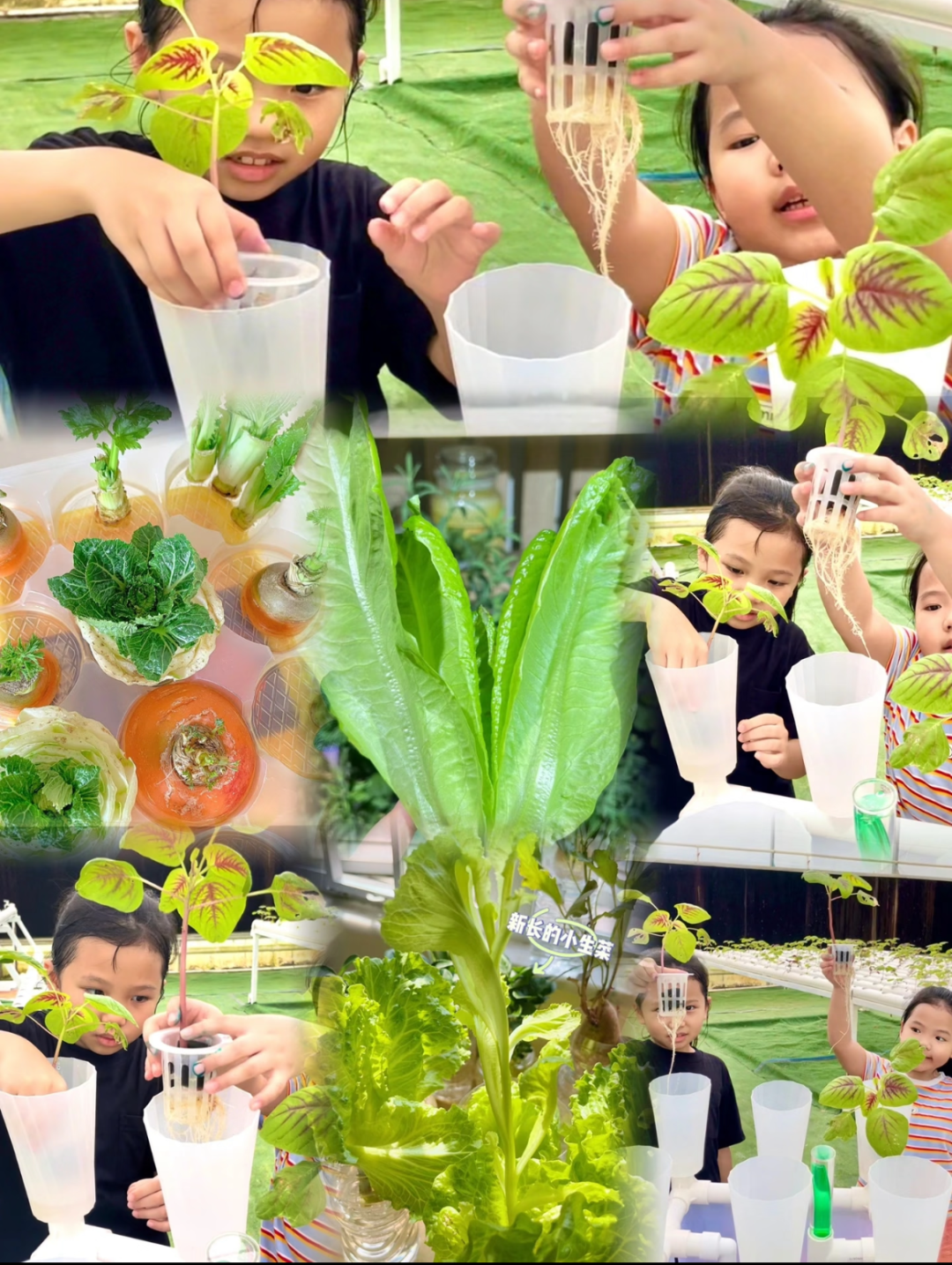微信图片_20250508121551.png