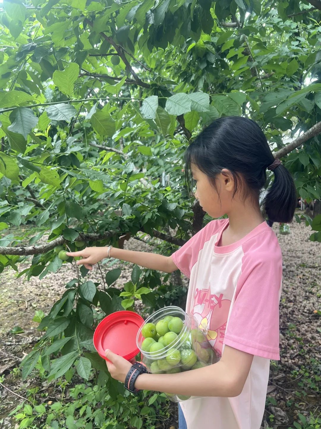 微信图片_20250508155140.jpg