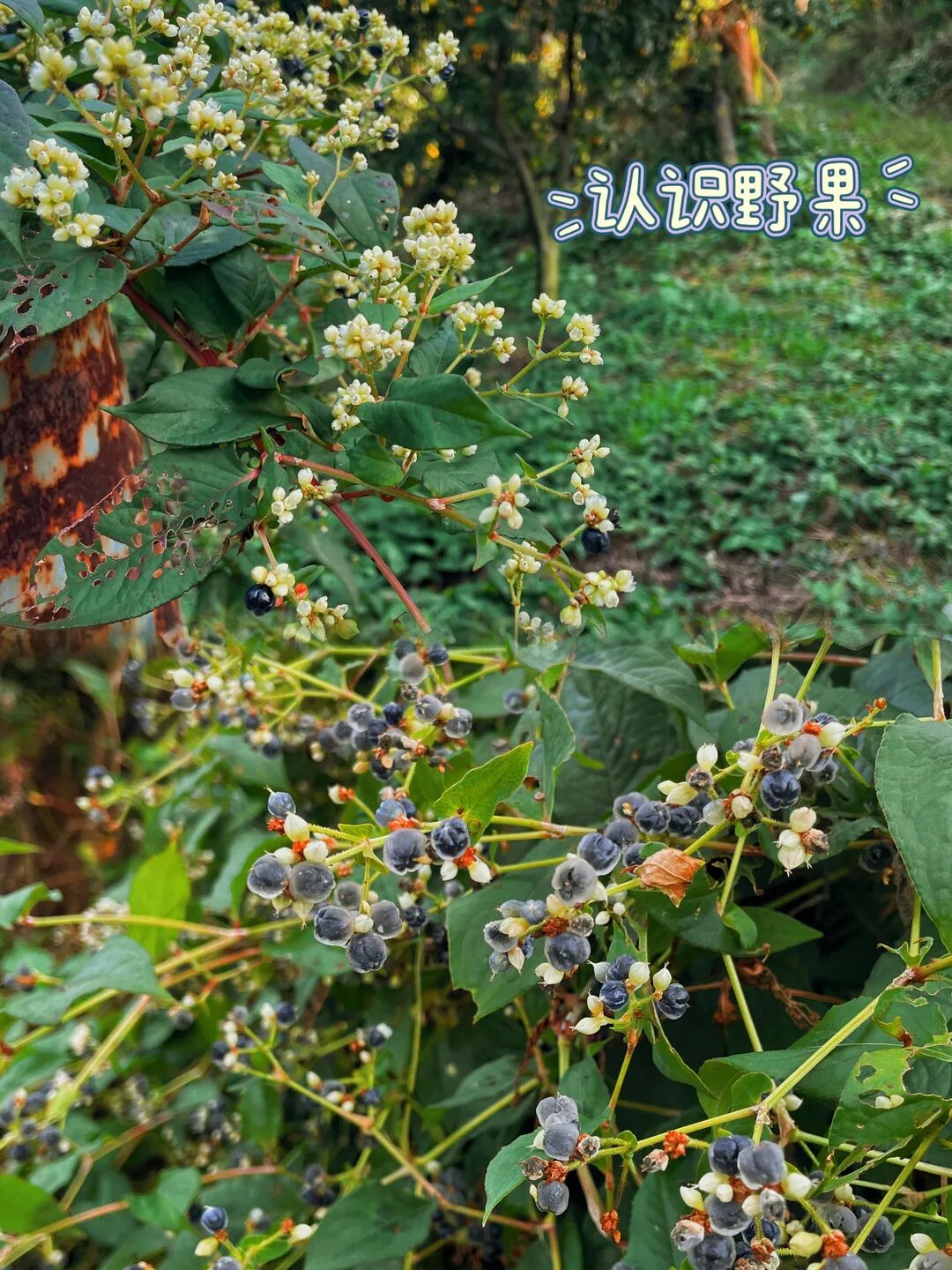 282c9df3ff068276833d1e0fcbd9809.jpg 282c9df3ff068276833d1e0fcbd9809.jpg