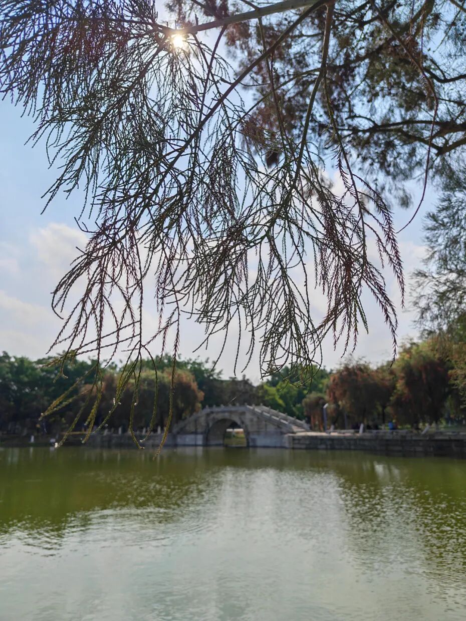 微信图片_20260318100952_22_1134.jpg
