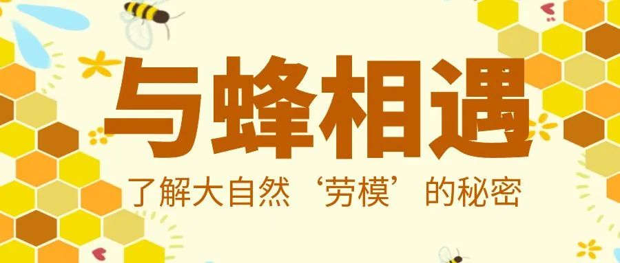 图怪兽_创意简约卡通蜜蜂红包公众号首图.jpg