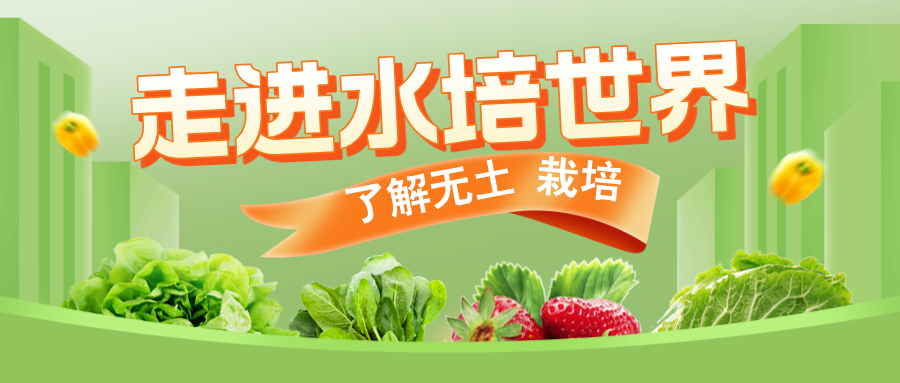 渐变质感风绿色生鲜大促公众号封面首图__2025-05-08+12_02_16.png