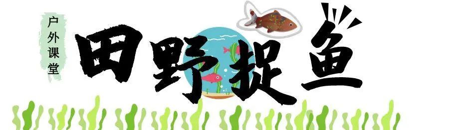 图怪兽_捉鱼.jpg