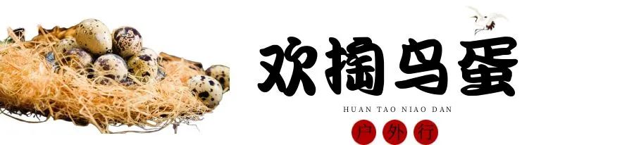 图怪兽_掏鸟蛋.jpg