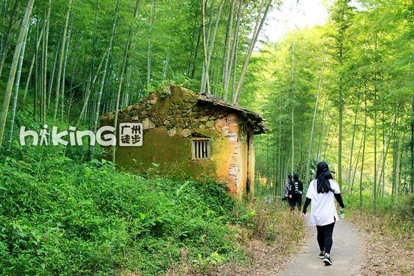 Hiking广徒【星溪竹林】6月12周日 | 徒步穿越广州最美乡村-溪头村，游星溪竹海，品新鲜竹筒饭
