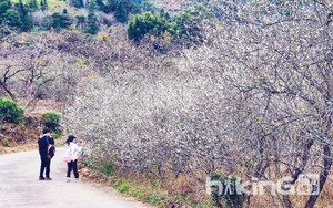 特价【桂峰山】从化十登之桂峰山，走过广州母亲河-流溪河源头