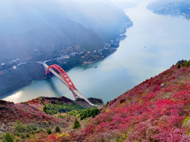 【徒步三峡巅】五天四晚 翻山越岭，只为长江三峡最浓烈的红~神女天路+三峡之巅+文峰观三大红叶徒步线