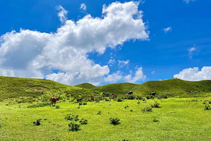 【鸡笼顶1天1夜】徒步阳春鸡笼顶，粤西醉美高山大草原，赏醉美月圆星空