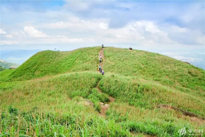 24号25号成行·特价【大南山】打卡广东小武功-大南山，徒步在漫山草甸