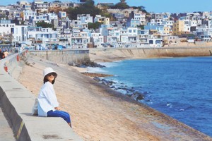 元旦【厦门东山岛3天】浪漫东山岛，文艺鼓浪屿+曾厝垵+南普陀寺+沙坡尾