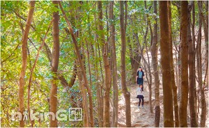 周三【六片山】11月5日 （内线）徒步城市另一面，大城市中的天池-“广州的眼泪”六片山