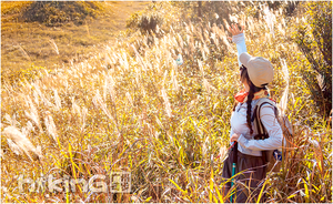 成团·特价【大南山】打卡广东小武功-大南山，徒步在漫山草甸