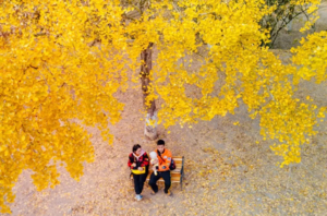 【多彩韶关2天】秋摄南雄“银杏之乡”帽子峰银杏！遇见湖心坝“粤北客家第一村”，打卡东华禅寺！赏南岭红沙漠日落