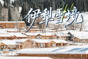 【伊犁雪境】7日，安集海大峡谷+冰雪赛里木湖+琼库什台+天鹅泉+雾凇+库尔德宁+那拉提