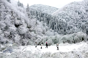 【云冰山+莽山2天】一次打卡两大冰雪圣地，岭南雪乡赏雾淞、观冰挂、云海秘境