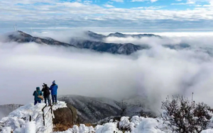 【云冰山】雾凇冰挂来袭：不用出省也能看雪，寒潮打卡冰封风车山