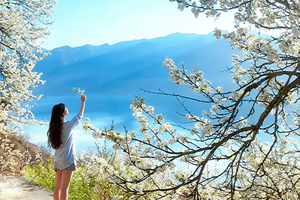 【春染川西】6日，8人团 · 赏梨花、观雪山，仅6期，四姑娘山双桥沟+牛背山+金川梨花+墨石公园+红海子+木雅大寺