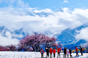 【林芝桃花】7日，冰雪包裹的桃花才是中国最美的春天，林芝桃花+波密桃花+索松村+然乌湖+来古冰川+巴松措+羊卓雍措